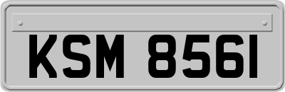 KSM8561