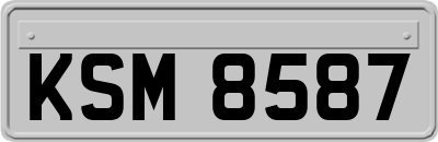 KSM8587
