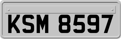 KSM8597