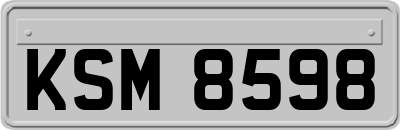 KSM8598