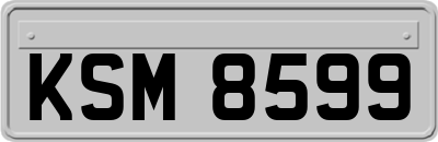 KSM8599