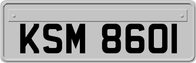 KSM8601