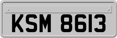 KSM8613