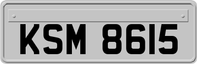 KSM8615