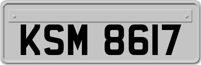 KSM8617