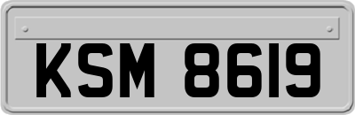 KSM8619