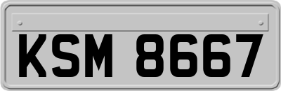 KSM8667