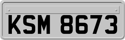 KSM8673