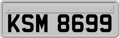 KSM8699