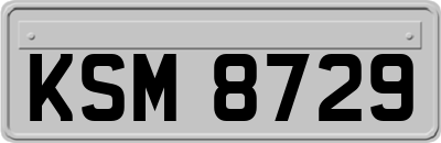KSM8729