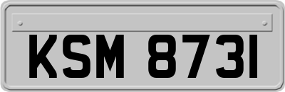 KSM8731