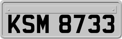 KSM8733