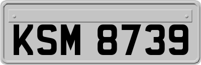 KSM8739