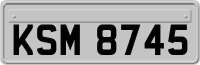 KSM8745