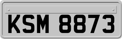KSM8873