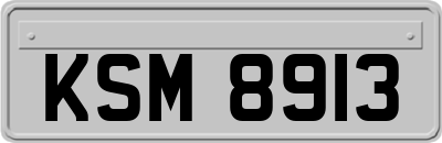 KSM8913