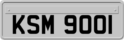 KSM9001