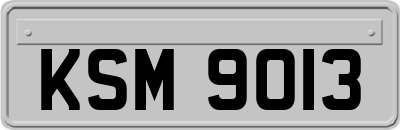 KSM9013