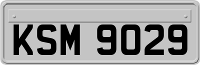 KSM9029