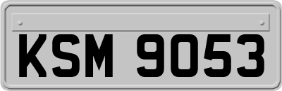 KSM9053