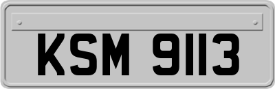 KSM9113