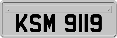 KSM9119