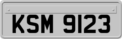KSM9123