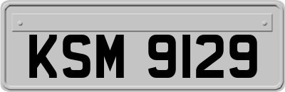 KSM9129