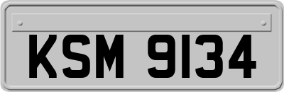 KSM9134