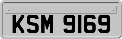 KSM9169