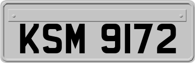 KSM9172