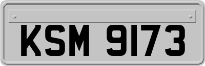 KSM9173