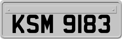 KSM9183