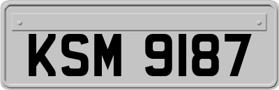 KSM9187