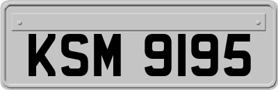 KSM9195