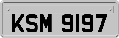 KSM9197