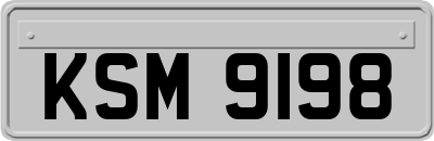 KSM9198
