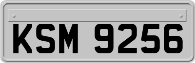 KSM9256