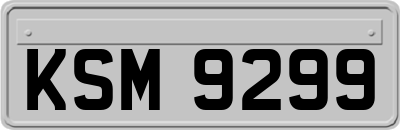 KSM9299