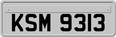 KSM9313