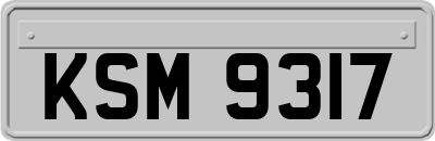 KSM9317