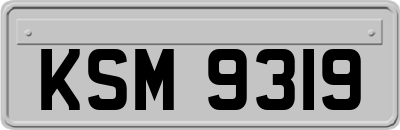 KSM9319