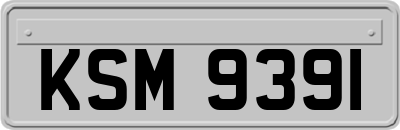 KSM9391