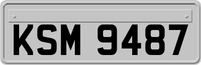 KSM9487