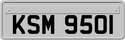 KSM9501