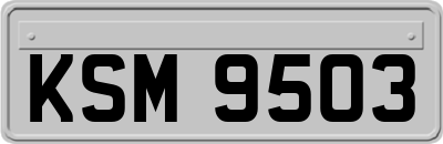 KSM9503
