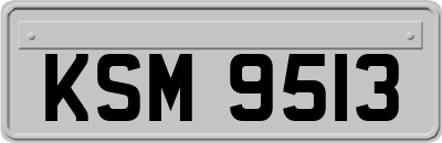 KSM9513
