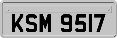 KSM9517