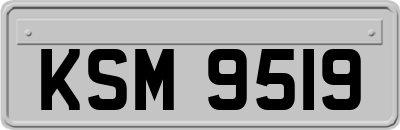 KSM9519