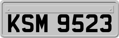 KSM9523